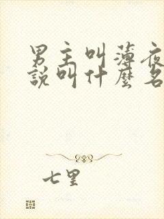 男主叫薄夜的小说叫什么名字