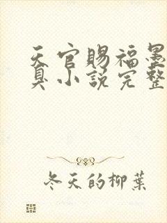 天官赐福墨香铜臭小说完整版无删减