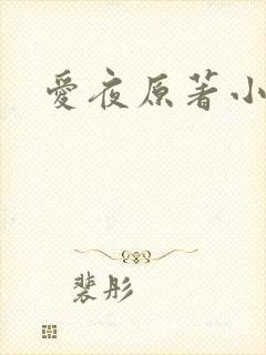 爱夜原著小说