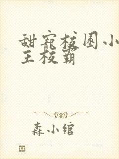 甜宠校园小说男主校霸