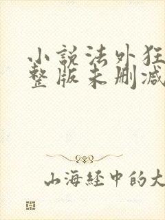 小说法外狂徒完整版未删减小说