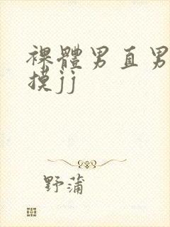 裸体男直男被扒摸jj