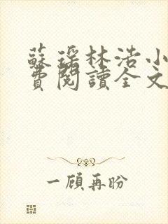 苏瑶林浩小说免费阅读全文最新章节封面