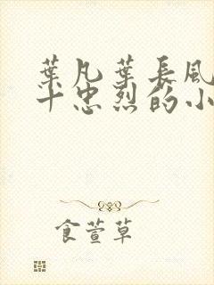 叶凡叶长风一门十忠烈的小
