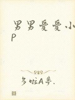 男男爱爱小说np