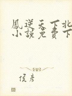 凤逆天下北月篇小说免费下载封面
