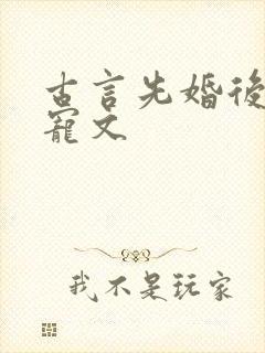 古言先婚后爱甜宠文