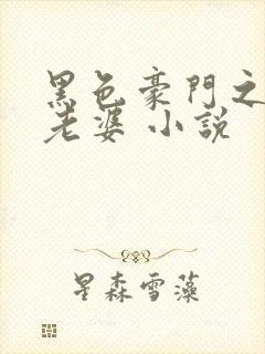 黑色豪门之纯情老婆 小说