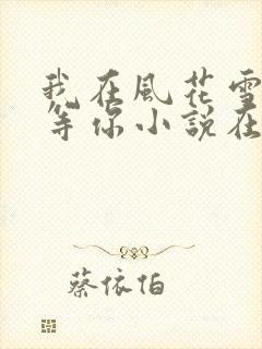 我在风花雪月里等你小说在线阅读