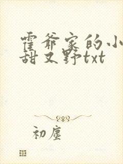霍爷家的小祖宗甜又野txt