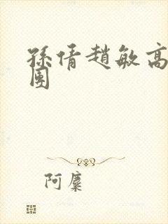 孙倩赵敏高义大团封面