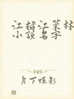 江招江茉林澄野小说名字