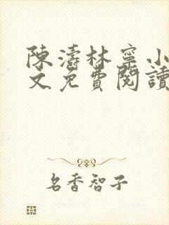 陈涛林宁小说全文免费阅读最新章节