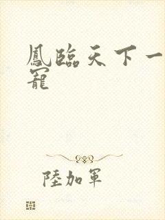 凤临天下一后千宠