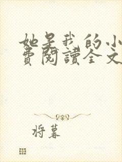 她是我的小说免费阅读全文