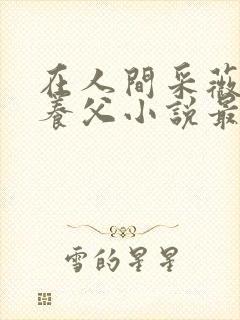 在人间采薇阿铭养父小说最新章节封面