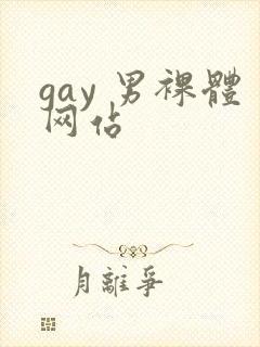 gay 男裸体网站封面