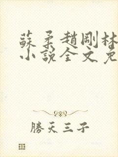 苏柔赵刚林风的小说全文免费阅读