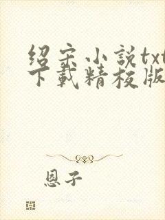绍宋小说txt下载精校版封面