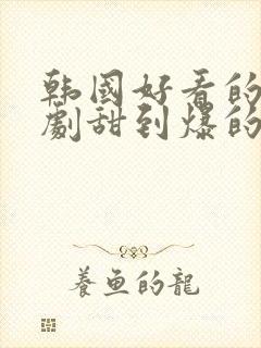 韩国好看的爱情剧甜到爆的电视剧