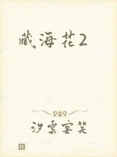 藏海花2