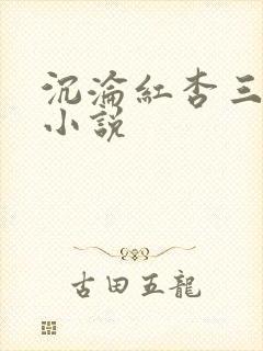 沉沦红杏三部曲小说