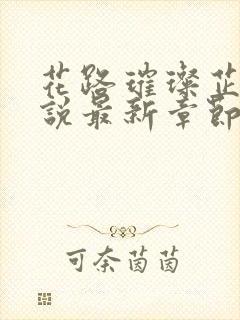 花路璀璨芷晴小说最新章节阅读