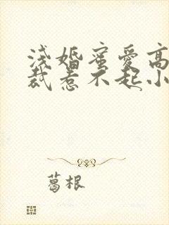 浅婚蜜爱高冷总裁惹不起小说免费阅读封面