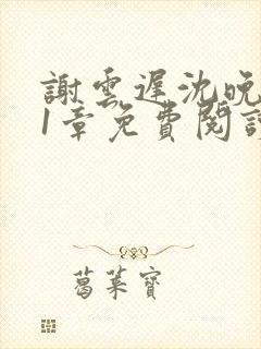 谢云迟沈晚梨21章免费阅读最新章节更封面