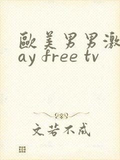 欧美男男激情gay free tv