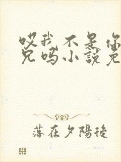 哎我不是你们养兄吗小说免费阅读