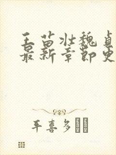 王苗壮魏贞小说最新章节更新时间封面