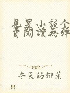 见星小说全文免费阅读无弹窗封面