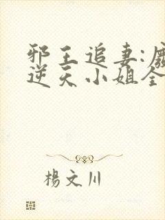 邪王追妻:废材逆天小姐全文免费阅读