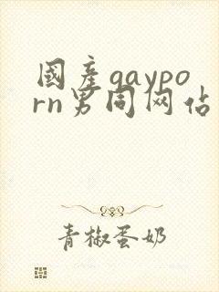 国产gayporn男同网站