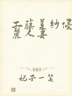 工藤美纱侵犯美丽人妻