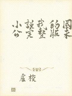 小说我的国民老公完整版未删减小说