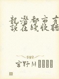 龙潜都市有声小说在线收听