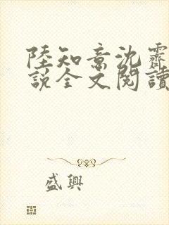 陆知意沈霁川小说全文阅读封面