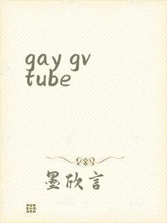gay gv tube封面