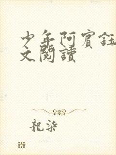 少年阿宾钰慧全文阅读封面