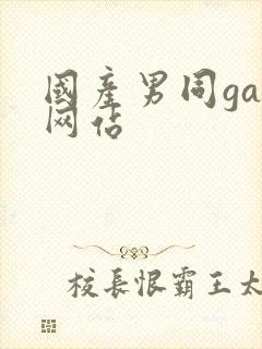 国产男同gay网站