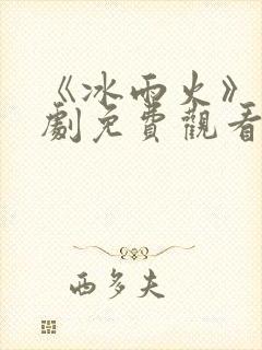 《冰雨火》电视剧免费观看完整版