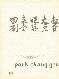 回来吧大叔电视剧全集免费观看高清