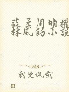苏柔周明权赵刚林风的小说在线阅读全文封面
