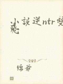 小说逆ntr双飞