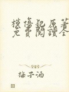 模仿犯原著小说免费阅读全文封面