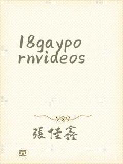 18gaypornvideos