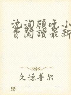 沈洵顾晚小说免费阅读最新章节封面