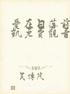 爱在日落前王沐凯免费观看封面